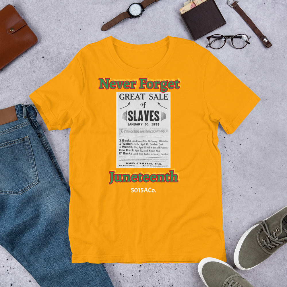 Never Forget Juneteenth Unisex t-shirt