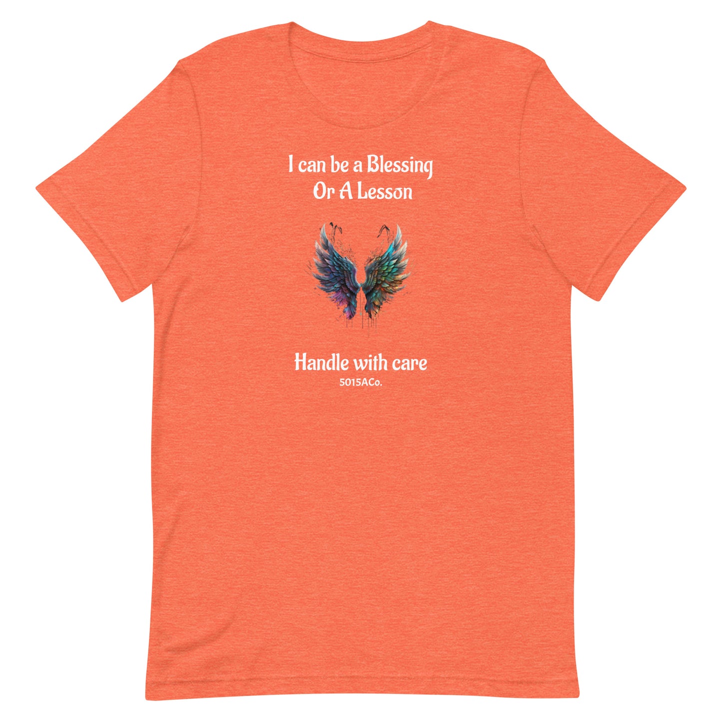 Blessing or Lesson Unisex t-shirt